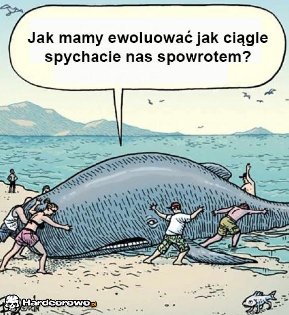 Ewolucja - 1