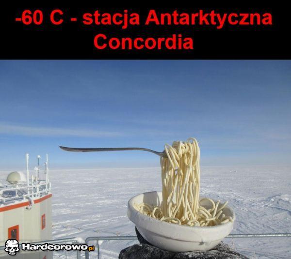 Stacja Antarktyczna  - 1