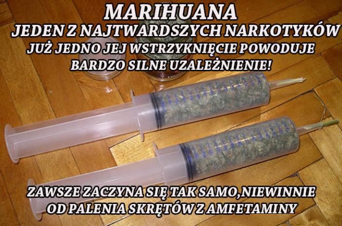 Marihuana - jeden z najtwardszych narkotyków - 1