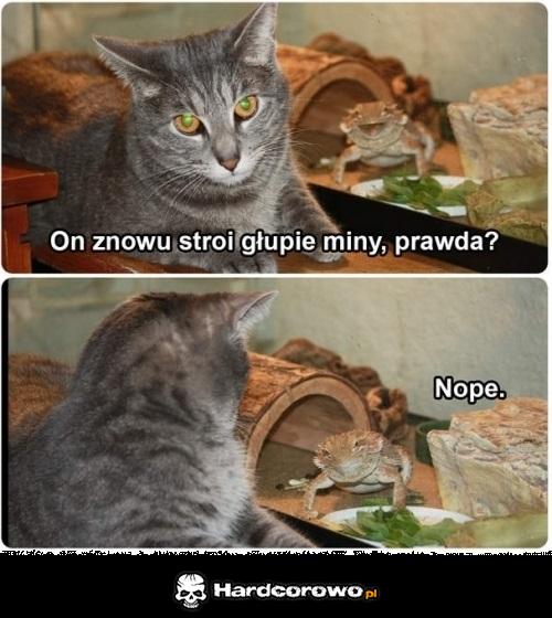 Głupie miny  - 1