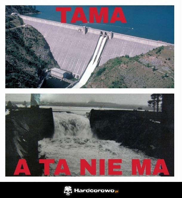 Tama - 1