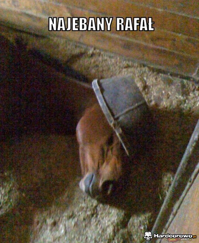 Najebany Rafał - 1