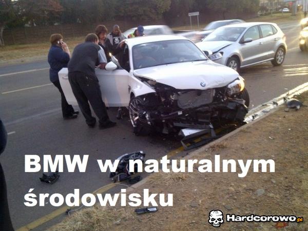 BMW w naturalnym środowisku - 1