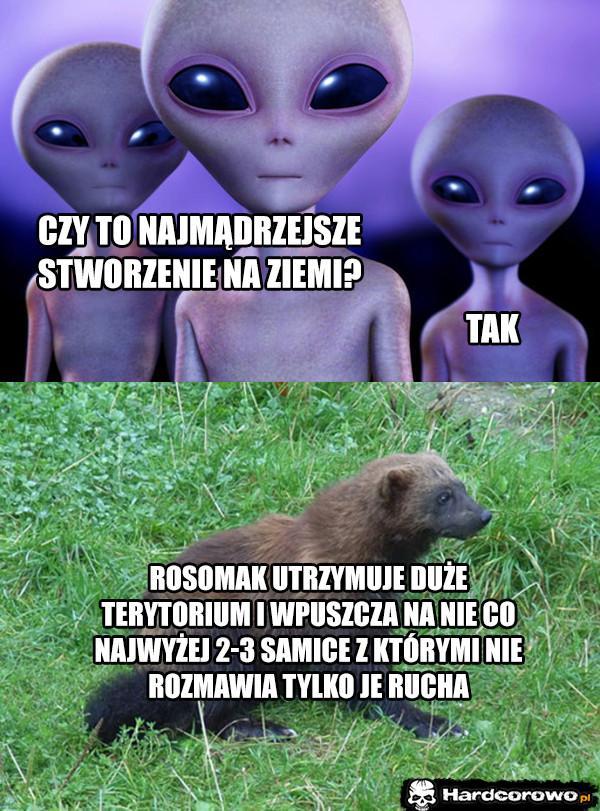  - 1