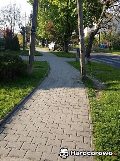 Przesądni Polacy - 1