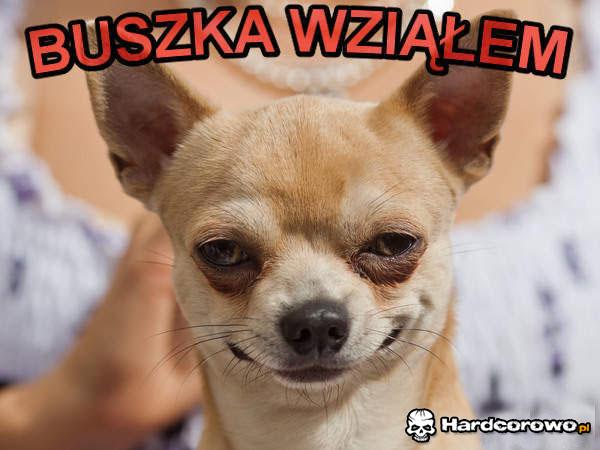 Buszka wziąłem  - 1