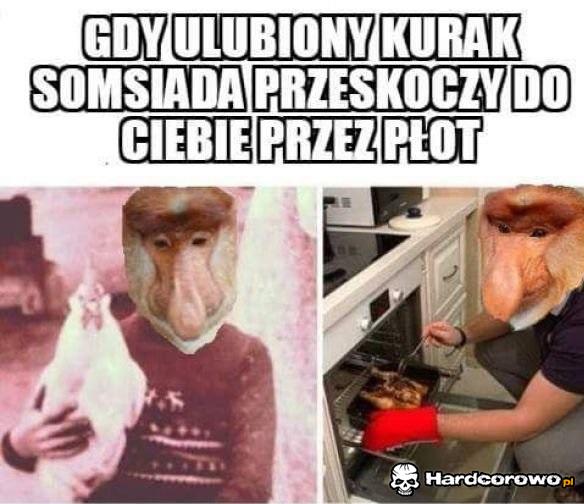 Kurak somsiada - 1
