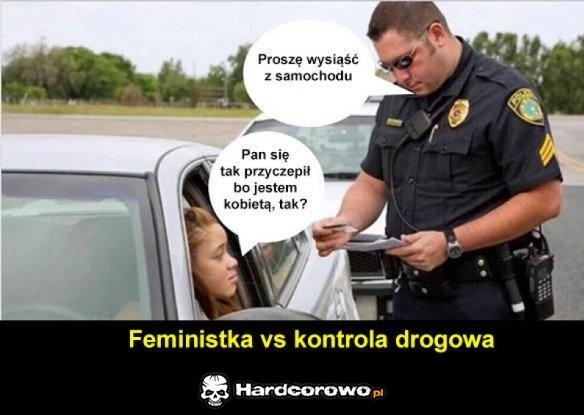 Feministka - 1