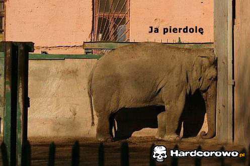 Ja pierdolę - 1