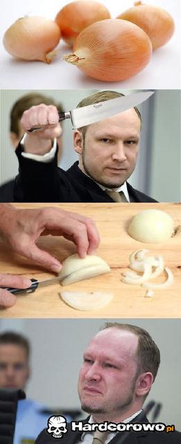 Norweski przepis na cebulę - 1