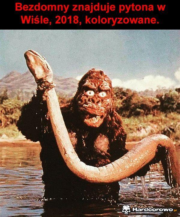 Pyton w Wiśle - 1