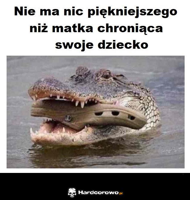 Nie ma nic piękniejszego - 1