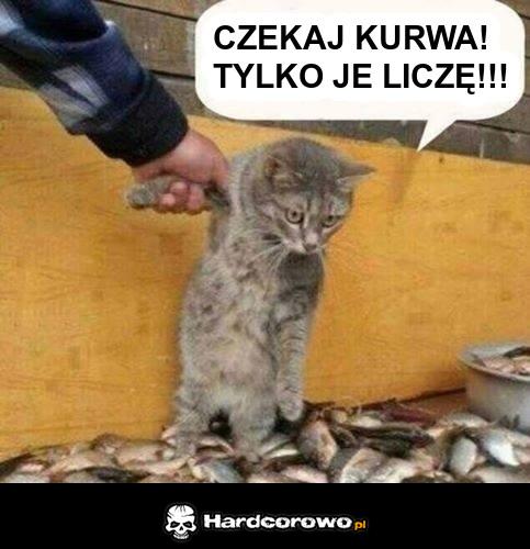 Czekaj kurwa! - 1