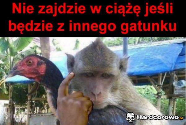 Protip - 1