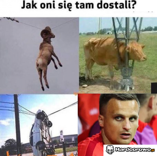 Macie pojęcie? - 1