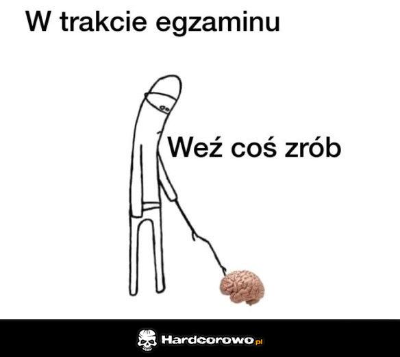 Egzamin - 1