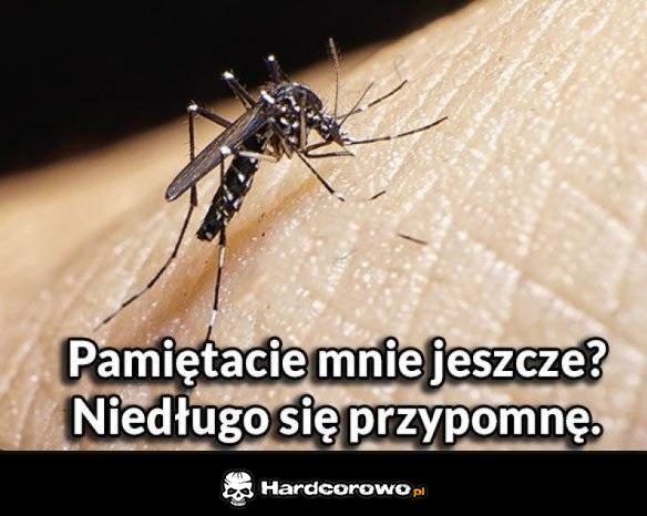Już niebawem - 1