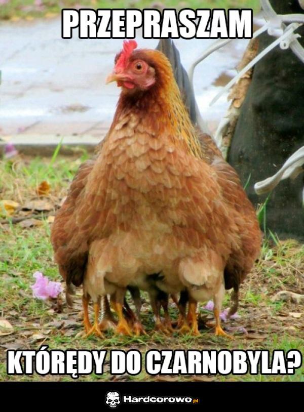 Którędy do Czarnobyla? - 1