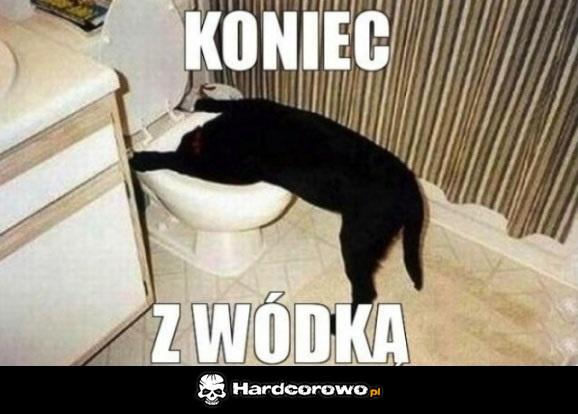Koniec z wódką - 1