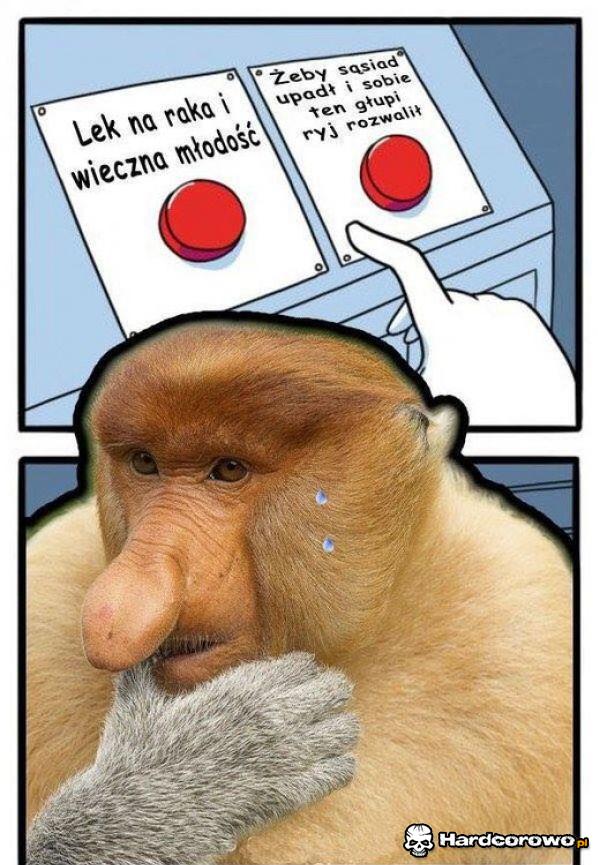 Trudny wybór - 1