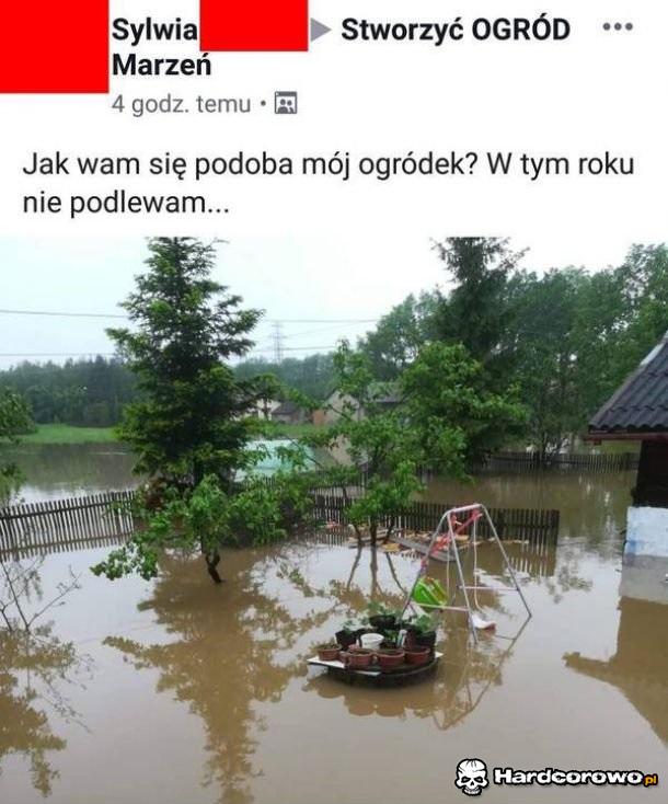 Nie ma podlewania! - 1