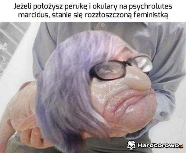 Tak bardzo prawdziwe - 1