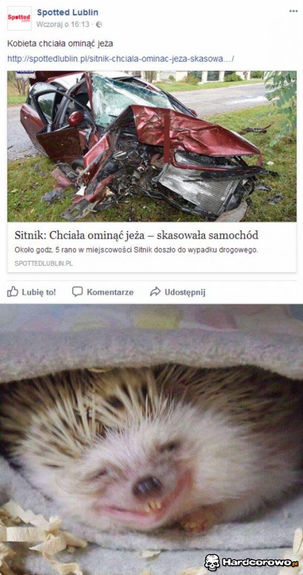Kobieta chciała ominąć jeża - 1