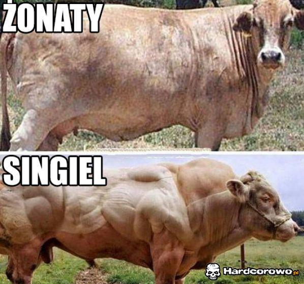 Taka różnica - 1