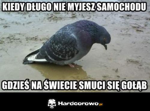 Kiedy długo nie myjesz samochodu  - 1