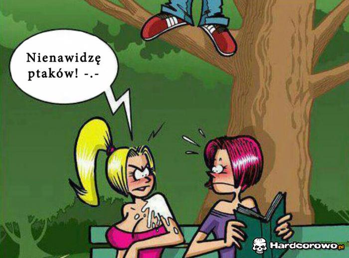 Pozory mylą - 1