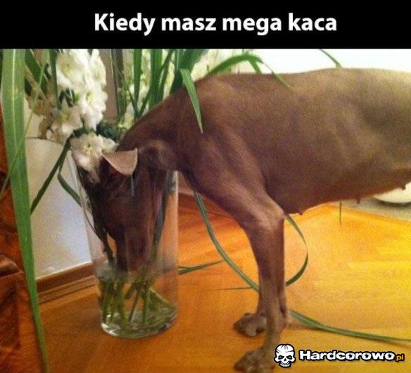 Kiedy nadchodzi kac - 1