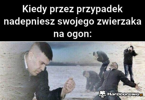 Przepraszam - 1
