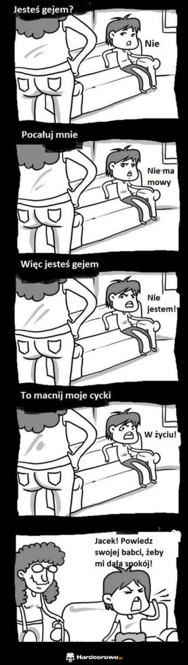 Jesteś gejem? - 1