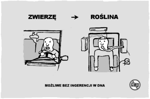 Porównanie - 1