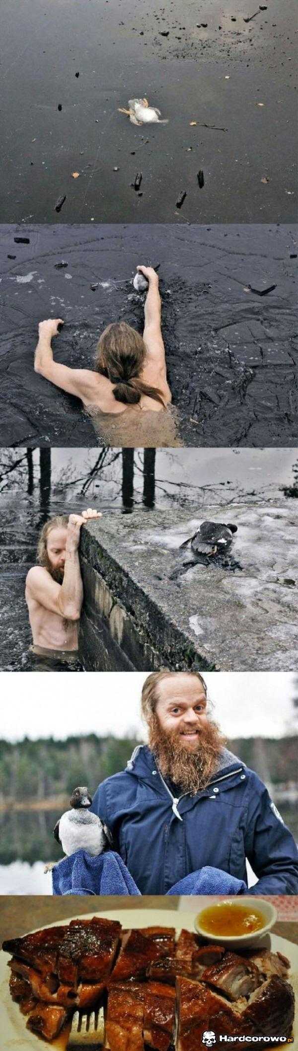 Ratowanie kaczki - 1