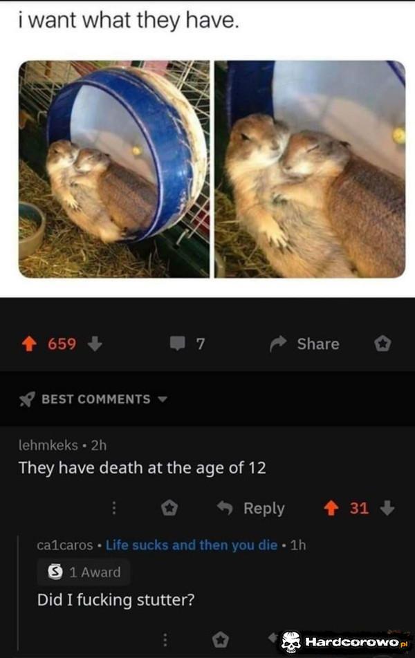  - 1