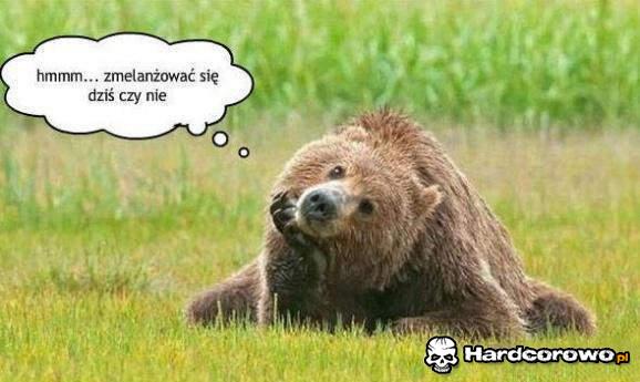 Zastawiające  - 1