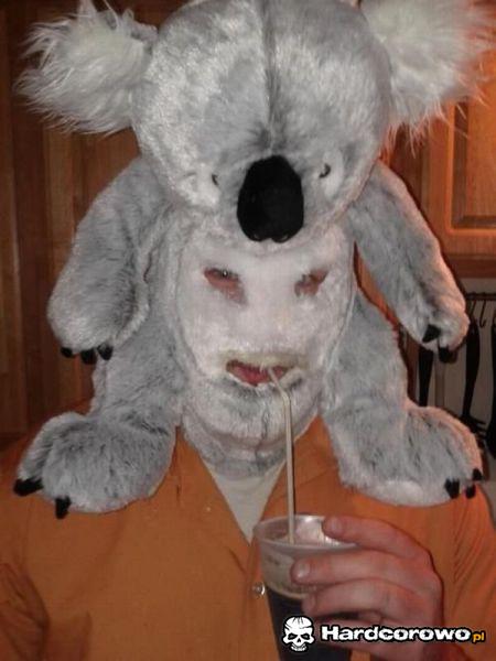Maska miś koala - 1