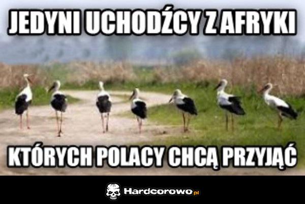 Uchodźcy - 1