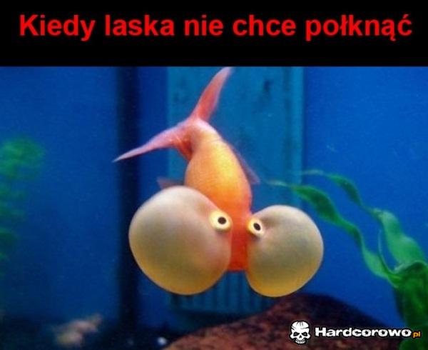 Laski - 1