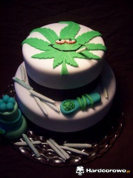 Tort dla zielarza - 1