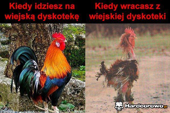 Wiejska dyskoteka - 1