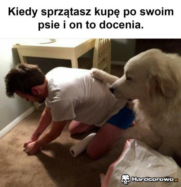 Dobry pies - 1