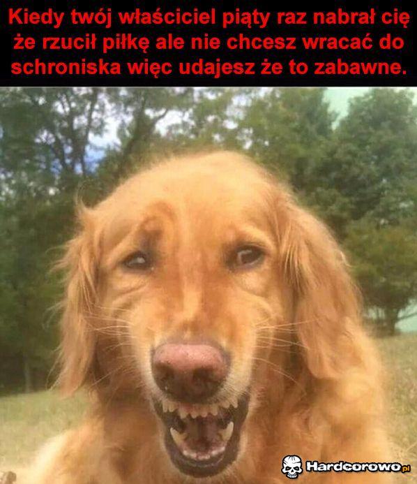 Bardzo śmieszne - 1