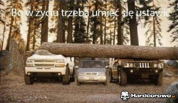 W życiu trzeba umieć się ustawić - 1