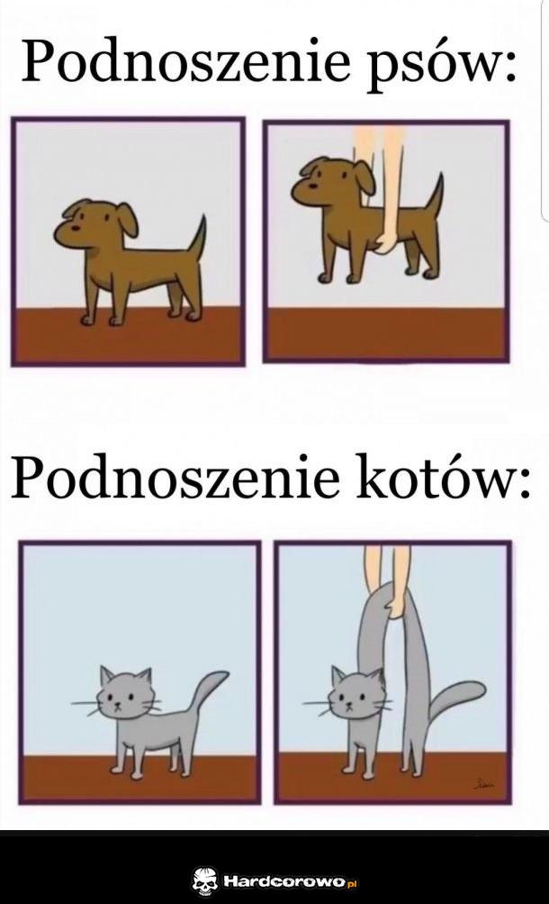 Dokładnie tak! - 1