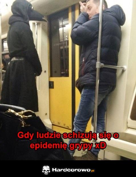 Świńska grypa - 1