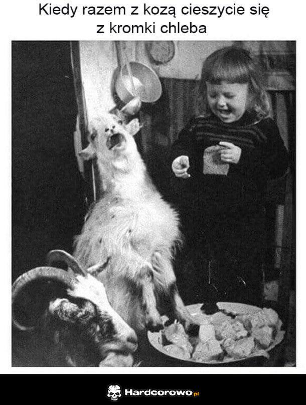 Śmieszna kromka - 1