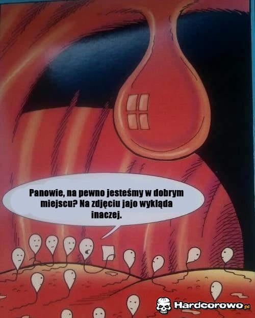 Zabłądzili  - 1