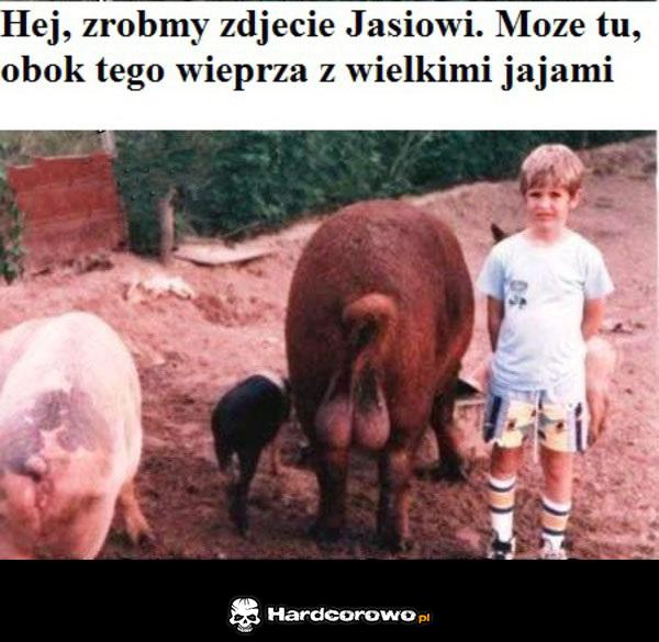 Zdjęcie - 1